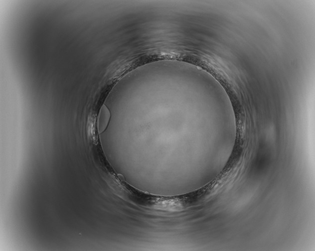 X0000096480185200801241452