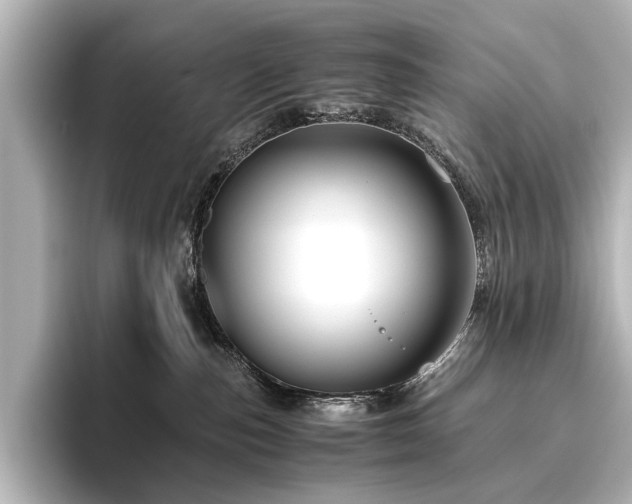 X0000096480187200801241452