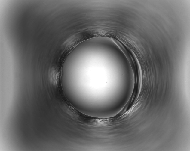 X0000096480188200801241452