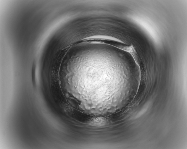 X0000096480189200801241452