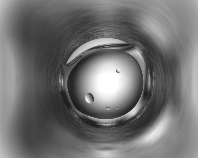 X0000096480190200801241452