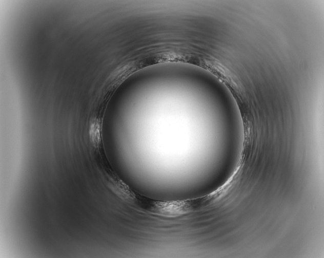 X0000096480191200801241452