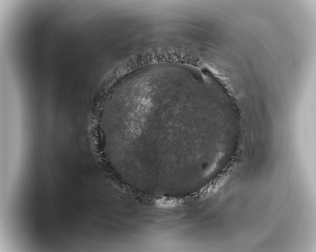 X0000096480192200801241452