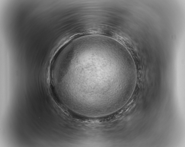 X0000096480194200801241451