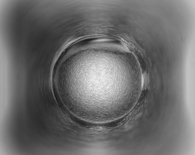 X0000096480195200801241451