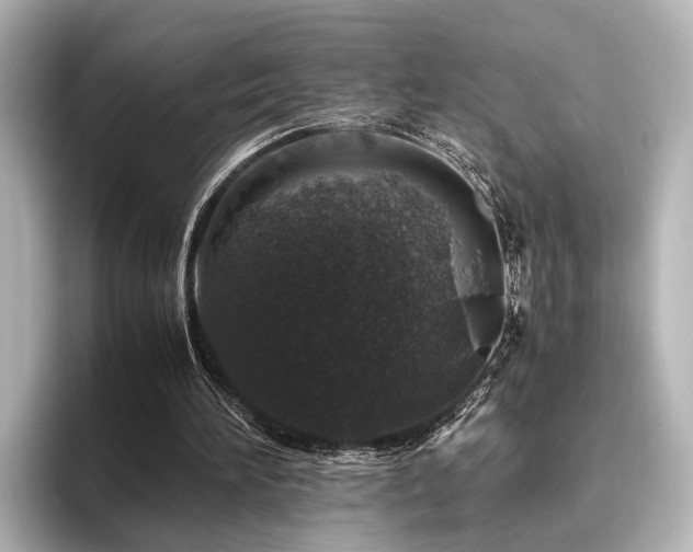 X0000096480196200801241451