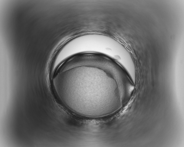 X0000096480197200801241451