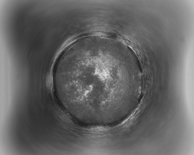 X0000096480198200801241451