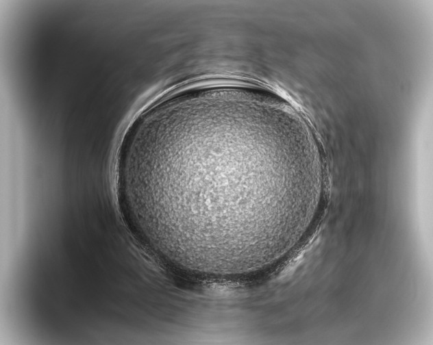 X0000096480199200801241451