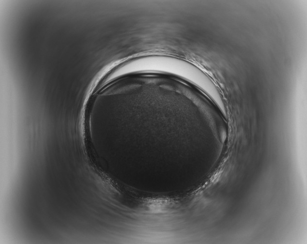 X0000096480200200801241451