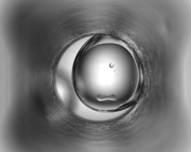 X0000096480201200801241451