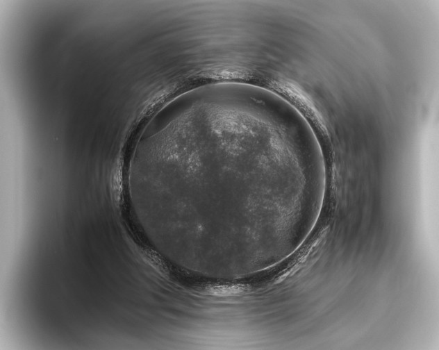 X0000096480202200801241451