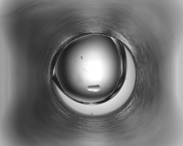 X0000096480203200801241451