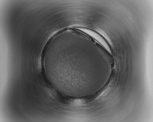 X0000096480204200801241451