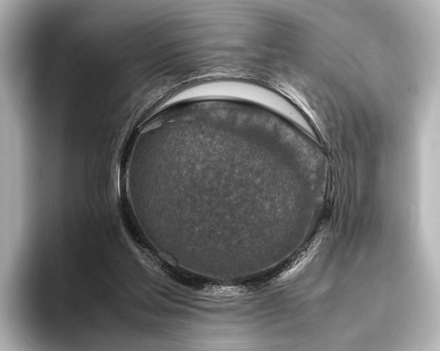 X0000096480205200801241451