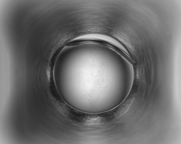 X0000096480206200801241451