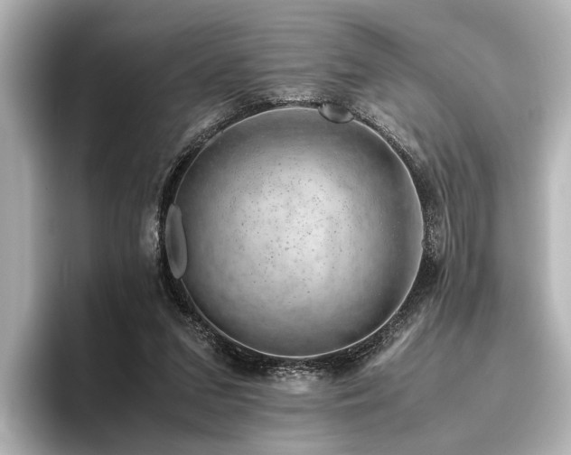 X0000096480207200801241451