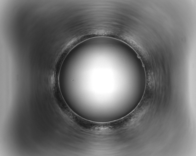 X0000096480208200801241451