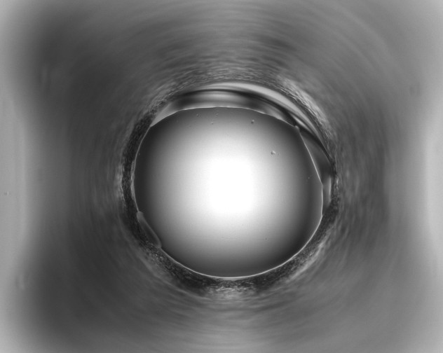 X0000096480209200801241451