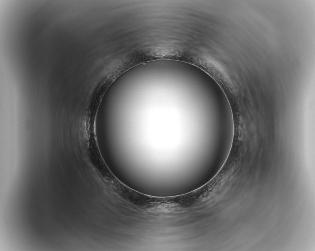 X0000096480210200801241451