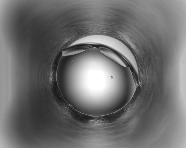 X0000096480211200801241451