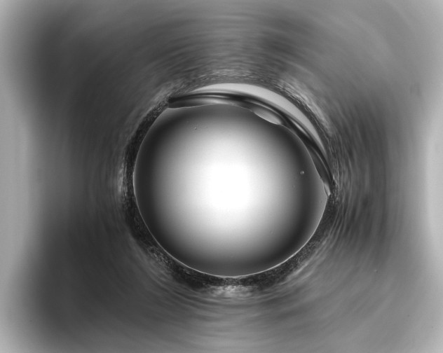 X0000096480212200801241451