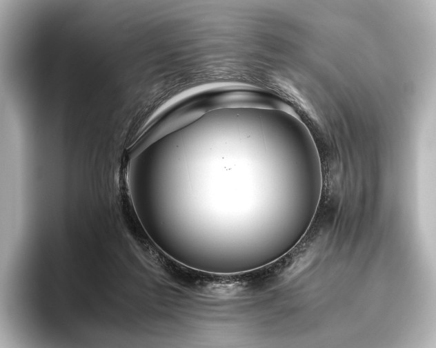 X0000096480213200801241451