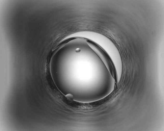 X0000096480215200801241451