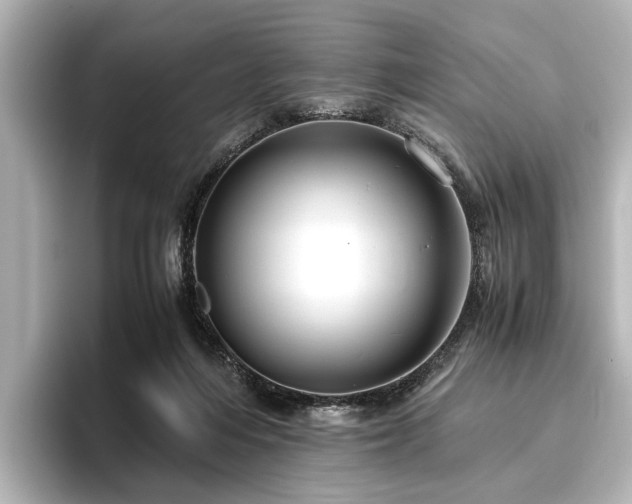 X0000096480216200801241451