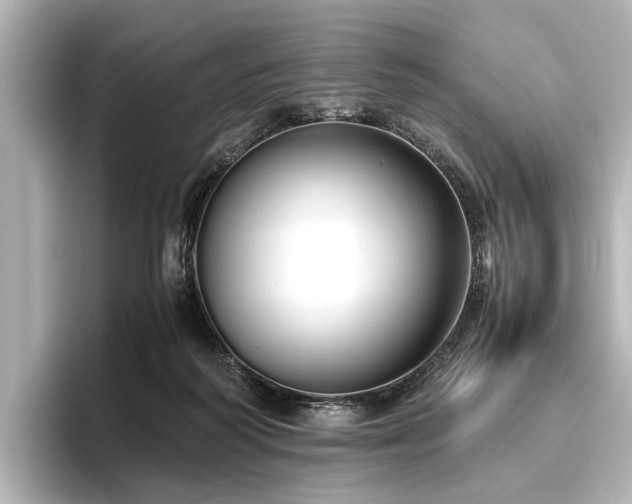 X0000096480218200801241451