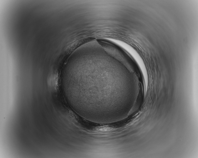 X0000096480219200801241451