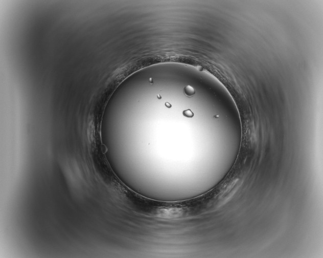 X0000096480220200801241451