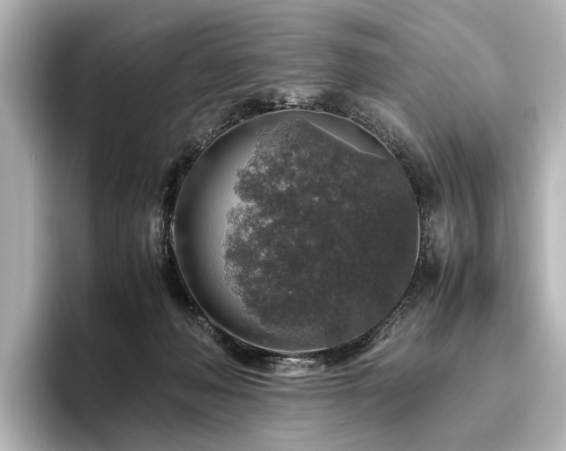 X0000096480222200801241451