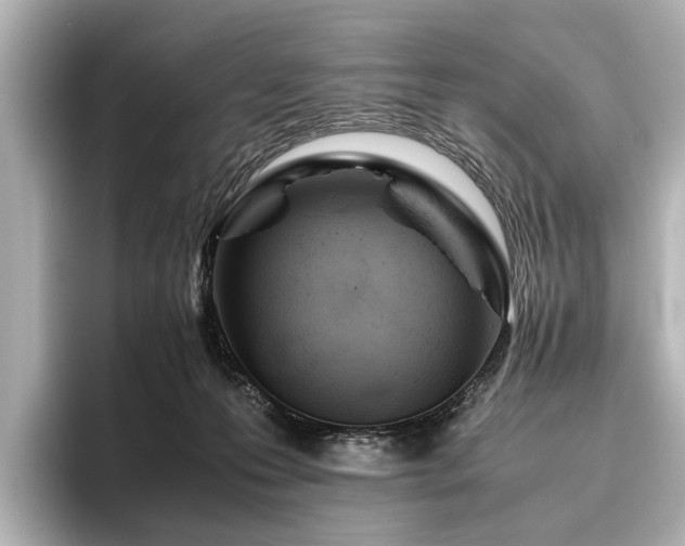 X0000096480223200801241451