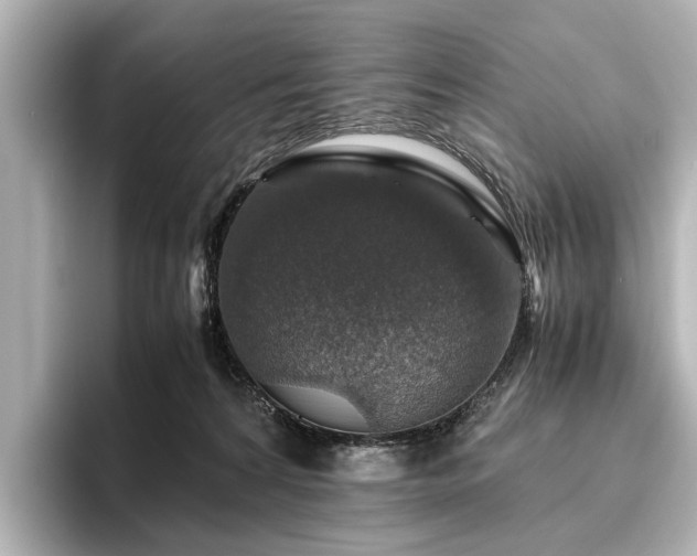 X0000096480224200801241451