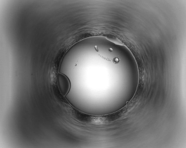 X0000096480226200801241451