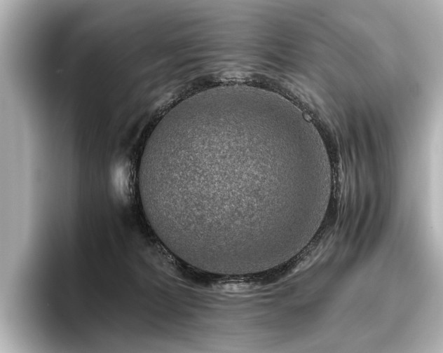 X0000096480228200801241451