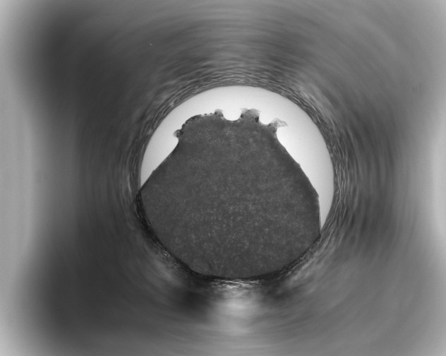 X0000096480229200801241451