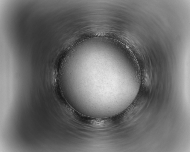 X0000096480230200801241451