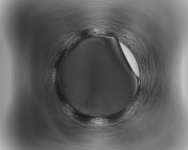 X0000096480231200801241451