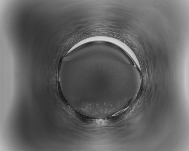 X0000096480233200801241451