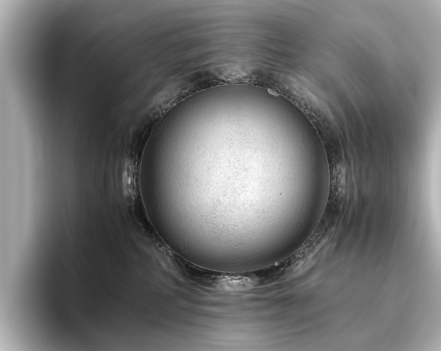 X0000096480234200801241451