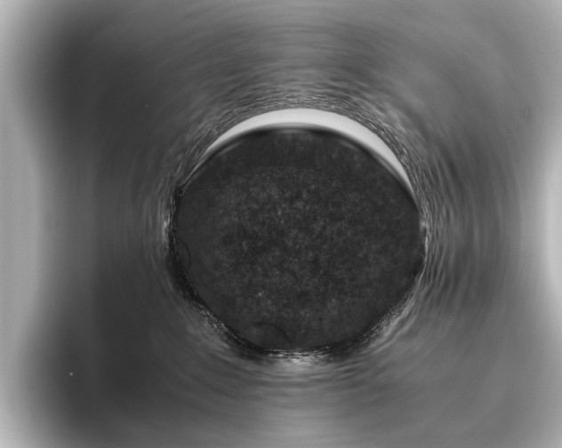 X0000096480235200801241450