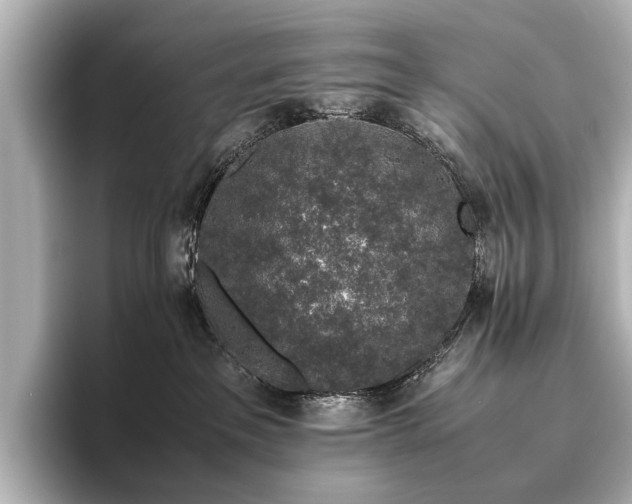 X0000096480237200801241450