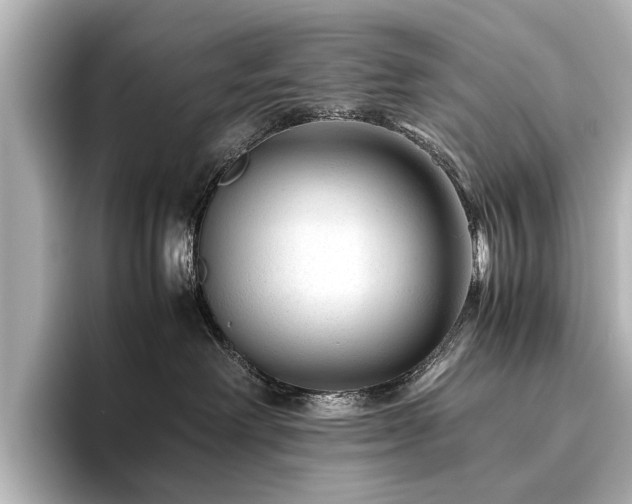 X0000096480238200801241450