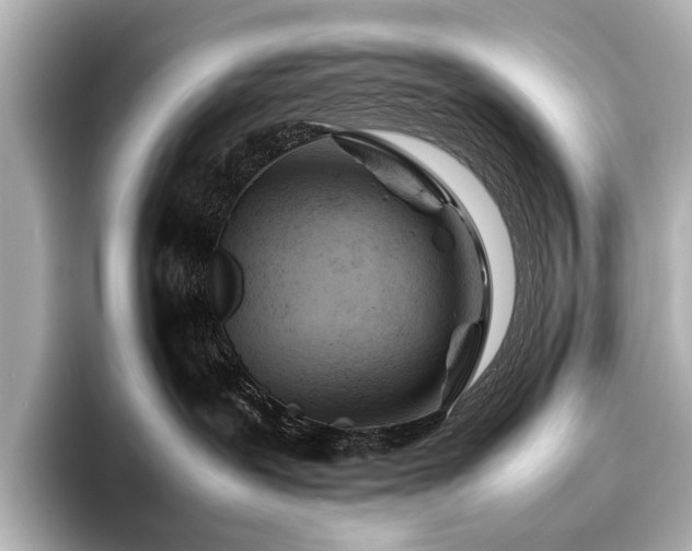 X0000096480239200801241450