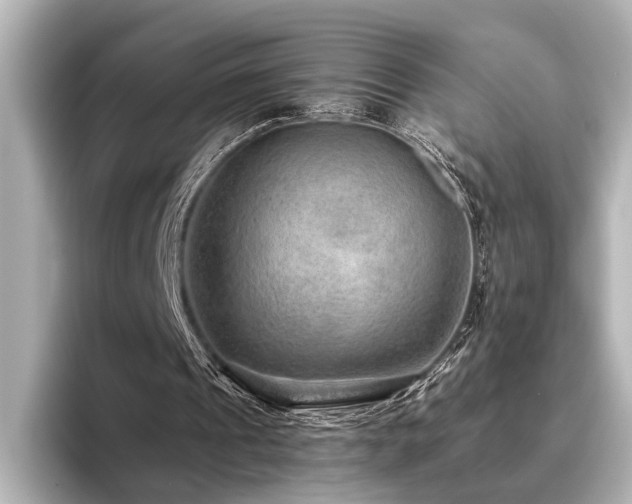 X0000096480241200801241450