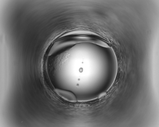 X0000096480242200801241450