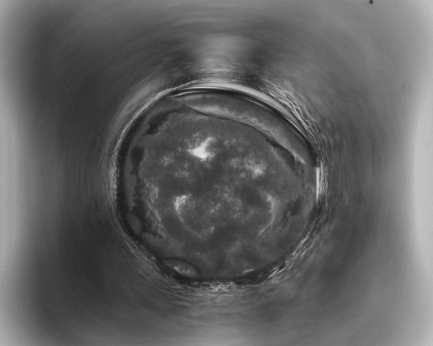 X0000096480243200801241450