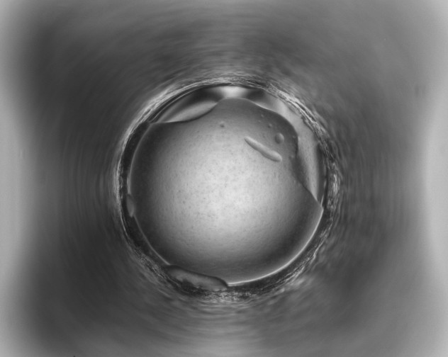 X0000096480244200801241450